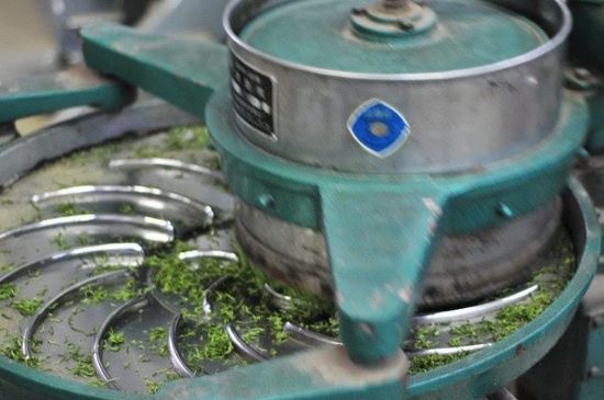武夷巖茶的初制、精制加工工藝詳細講解