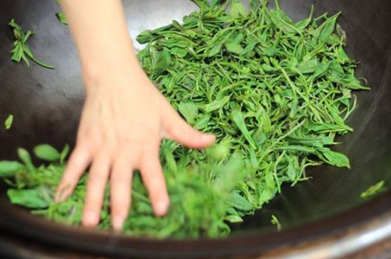 炒青綠茶與綠茶的區(qū)別，烘青和炒青哪個好喝？
