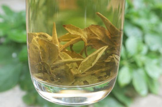 茉莉龍珠泡開后為什么都是梗，茉莉龍珠泡開后什么樣？