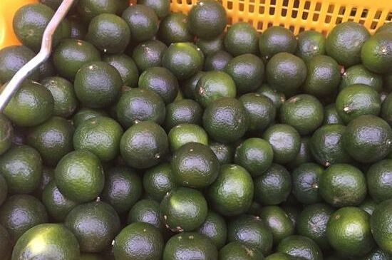 家庭自制柑普茶方法，小青柑制作9個(gè)步驟竅門（圖片）