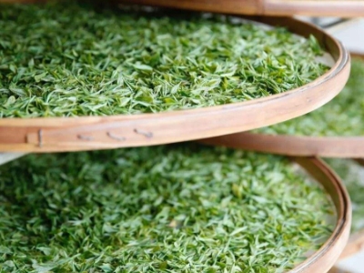 云南八大茶系分別是哪些，都是什么名字