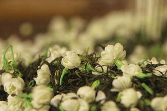 蒸茶器可以蒸花茶嗎，蒸茶器能用來蒸茉莉花茶嗎？