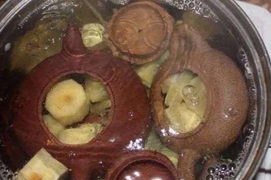 開壺放豆腐是錯誤的，新買的紫砂壺正確開壺建議