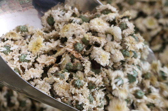 菊花茶買小朵還是大朵，泡茶用的小菊花和大菊花哪個好