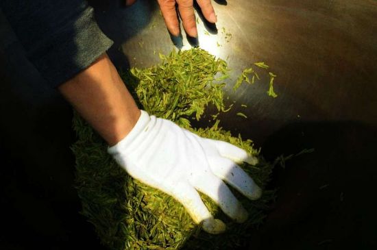 茶葉怎么炒制才香，怎樣炒茶葉更香？