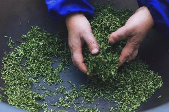 自家炒茶葉怎么炒，自己炒茶葉的步驟