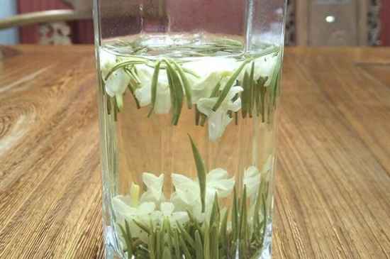 女孩喝茉莉茶的好處，茉莉茶葉的功效與禁忌