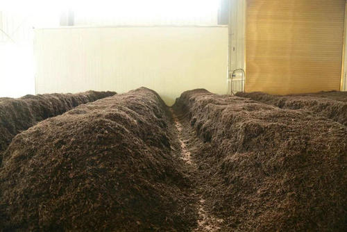 制茶八步驟，制茶工藝流程圖