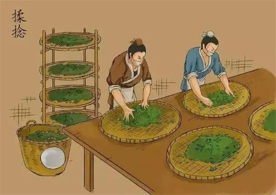 制茶八步驟，制茶工藝流程圖