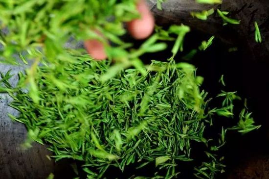 龍井茶炒茶葉怎么炒出好茶色，茶葉怎樣做出來最綠？