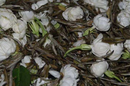 茉莉龍珠怎么做的，茉莉龍珠的制作工藝