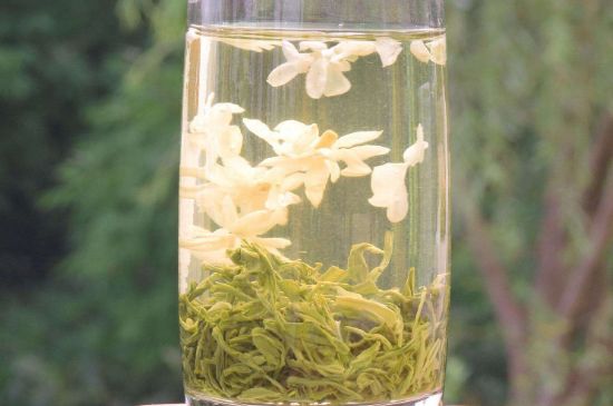 茉莉龍珠可以和什么一起泡茶，茉莉龍珠茶能加蜂蜜嗎？