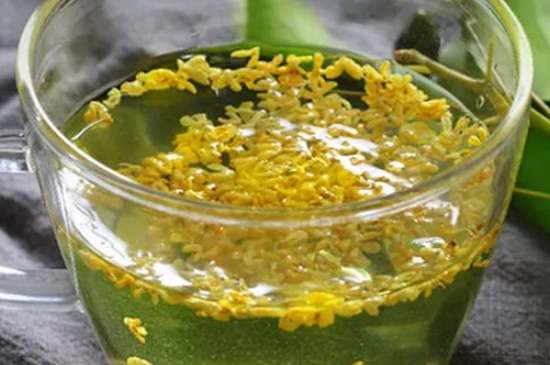 茉莉茶一次泡幾朵，茉莉茶放多少