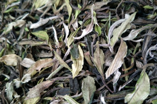 福鼎白茶貢眉和壽眉的區(qū)別，壽眉與貢眉有什么區(qū)別