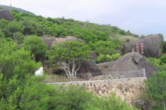 宋種一號(hào)價(jià)值為什么高，鳳凰單樅宋種1號(hào)價(jià)格與產(chǎn)量多少？