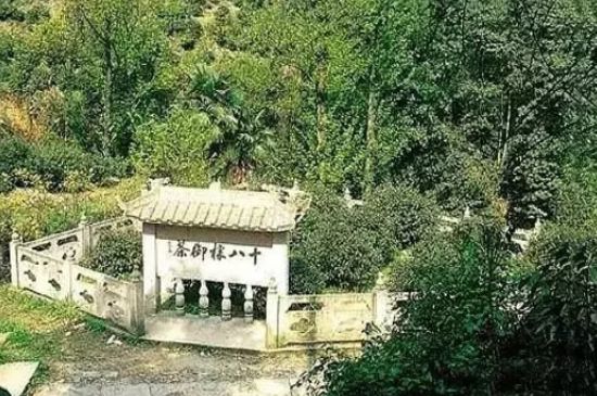 母樹大紅袍給誰(shuí)喝了，為什么母樹大紅袍叫三棵六株？