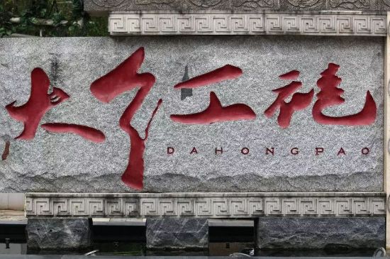 母樹大紅袍給誰(shuí)喝了，為什么母樹大紅袍叫三棵六株？