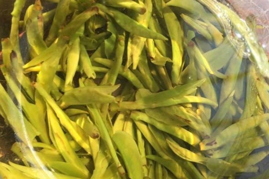 龍井是明前的好還是雨前的好，明前茶和雨前茶哪個好喝？