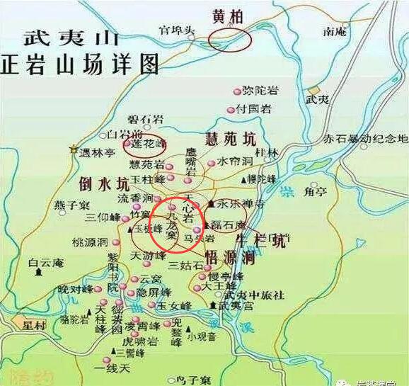 母樹大紅袍給誰(shuí)喝了，為什么母樹大紅袍叫三棵六株？