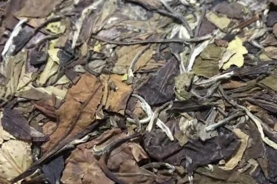 老白茶上火還是去火？夏季喝煮的老白茶會(huì)容易上火！