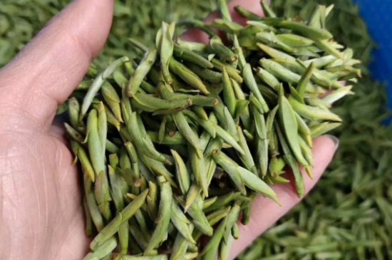 龍井茶好壞的鑒別圖片，如何區(qū)別龍井茶的好壞？