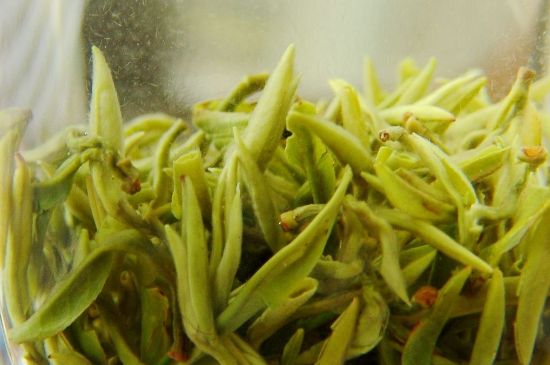 碧螺春為什么泡水渾濁，碧螺春茶葉泡水感覺很臟是混濁的