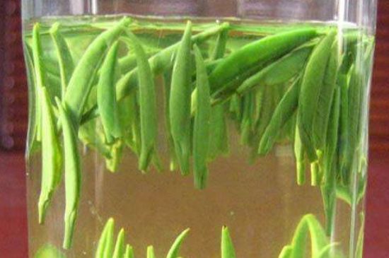 竹葉青和毛尖的區(qū)別，毛尖和竹葉青怎么分辨？