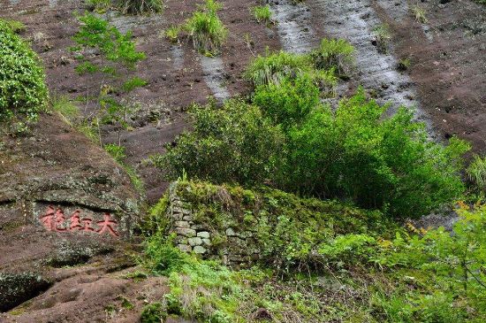 武夷巖茶大紅袍，喝起來是什么味道？