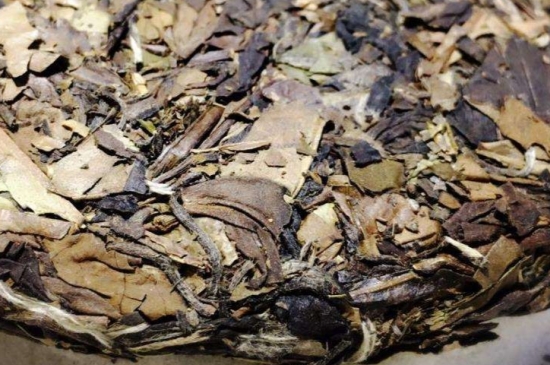 煮茶的步驟圖解，正確的煮白茶方法！