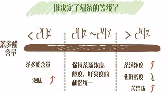 什么綠茶口味重口感濃郁，口味比較重的綠茶都有那些？