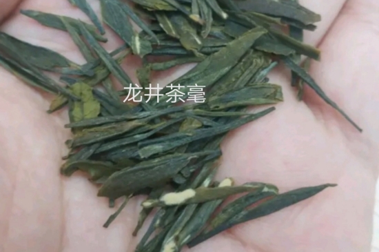 西湖龍井茶毫和發(fā)霉區(qū)別圖片，長霉的龍井茶葉會是什么樣？
