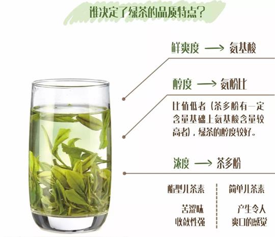 什么綠茶口味重口感濃郁，口味比較重的綠茶都有那些？