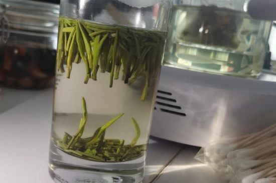 金壇雀舌算不算好茶，金壇雀舌屬于什么檔次茶葉？