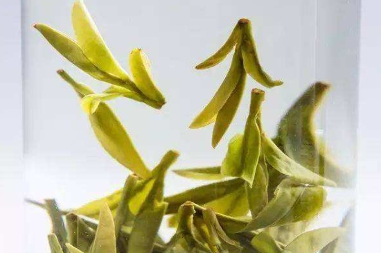 烏牛早和龍井的區(qū)別圖片，龍井43號和烏牛早茶的對比