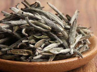 白茶有哪些品種排名，<a href=http://www.xkywd55.com/fenlei/baicha/ target=_blank class=infotextkey>白茶的種類</a>大全