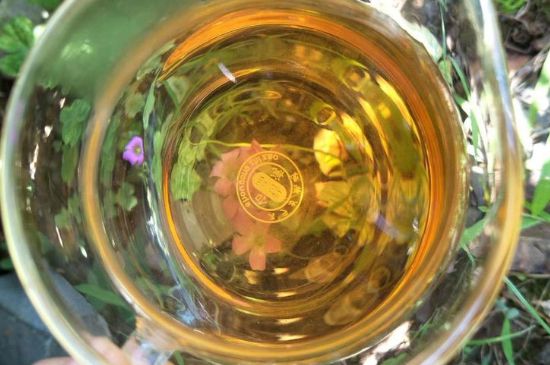 金駿眉第一泡不能喝！金駿眉喝之前需要洗茶