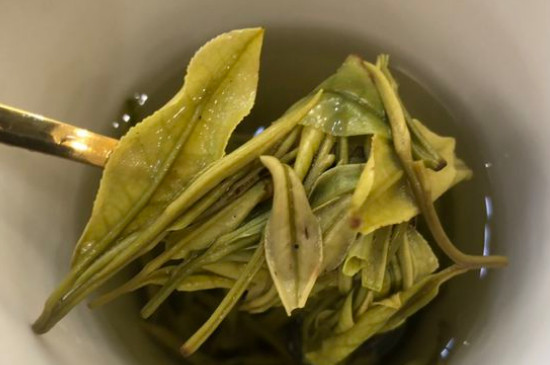 新舊白茶怎么區(qū)分，怎么分辨白茶是新還是舊