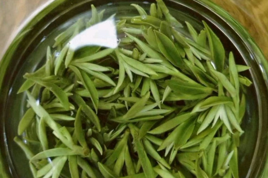 什么綠茶茶葉唇齒留香，哪個品種綠茶香氣好？