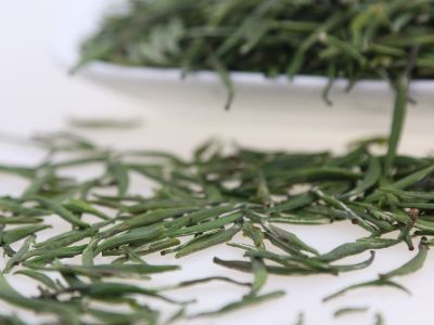 霍山黃芽算是好茶嗎，霍山黃芽屬于什么茶？