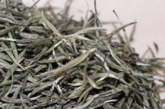 什么人不能喝白茶，白茶不宜什么人喝？