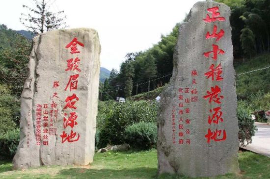 300塊錢的金駿眉能喝嗎，兩三百多金駿眉和一千多區(qū)別