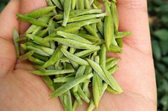 什么綠茶味道濃香，那個(gè)綠茶比較濃香？