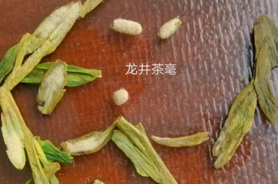 西湖龍井茶毫和發(fā)霉區(qū)別圖片，長霉的龍井茶葉會是什么樣？
