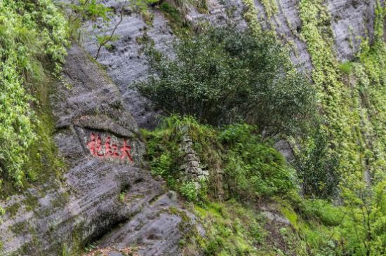大紅袍為什么沒保質(zhì)期，武夷巖茶大紅袍能放幾年？