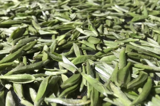 白毫銀針年份久的有什么香，陳年白毫銀針的香氣