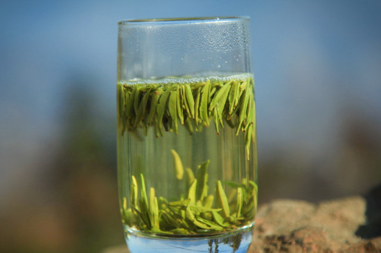 竹葉青茶泡不立起來怎么回事，竹葉青茶怎么泡立起來