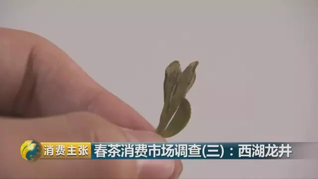 龍井群體種和43號的區(qū)別圖片，龍井43和群體種哪個好喝？