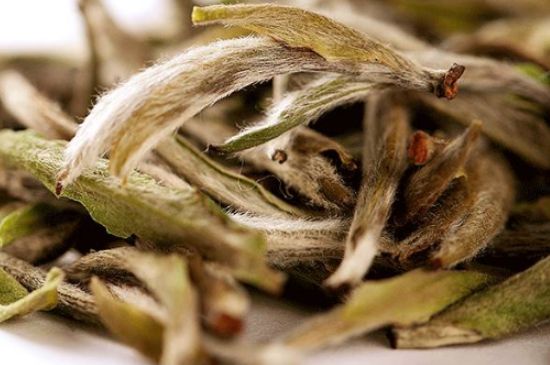 荒野銀針有什么特點(diǎn)，荒野銀針的味道口感咋樣？