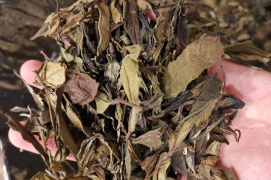 新舊白茶怎么區(qū)分，怎么分辨白茶是新還是舊