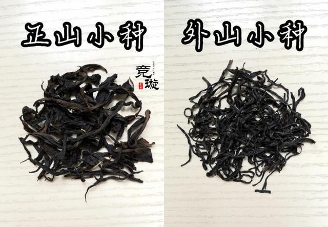 正山小種很細還很黑亮，正山小種越細越好嗎